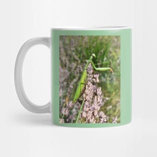 praying mantis Mug